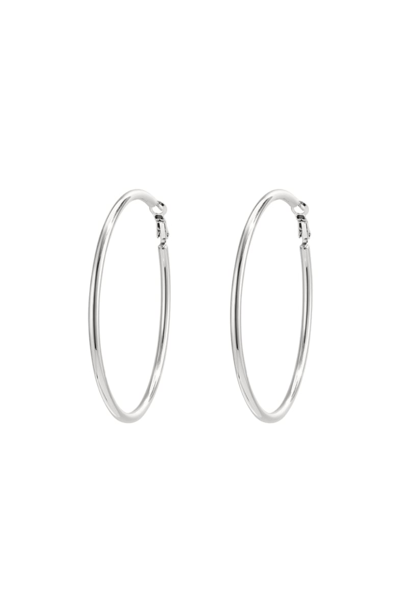 Stainless Steel Hoop Earrings Geometric Casual Daily Simple Series Women's jewelry
