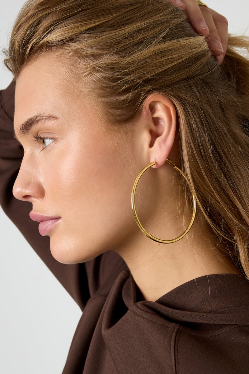 Stainless Steel Hoop Earrings Geometric Casual Daily Simple Series Women's jewelry