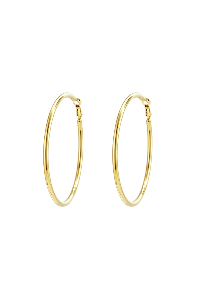 Stainless Steel Hoop Earrings Geometric Casual Daily Simple Series Women's jewelry