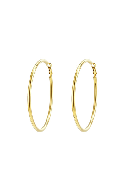 Stainless Steel Hoop Earrings Geometric Casual Daily Simple Series Women's jewelry